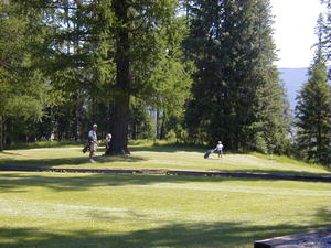 Cabinet View Golf Course