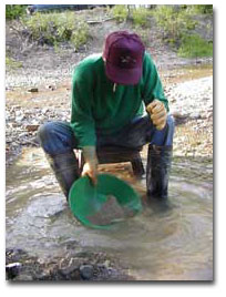 Panning for gold