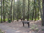 Kootenai Falls Lions Club Picnic Area