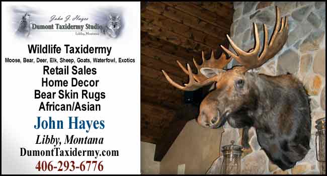 Click on this link to see our website!