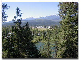 Libby view
