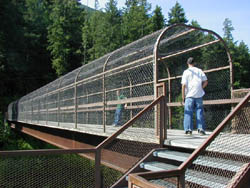 Railroad track bridge near Kootenai Falls.