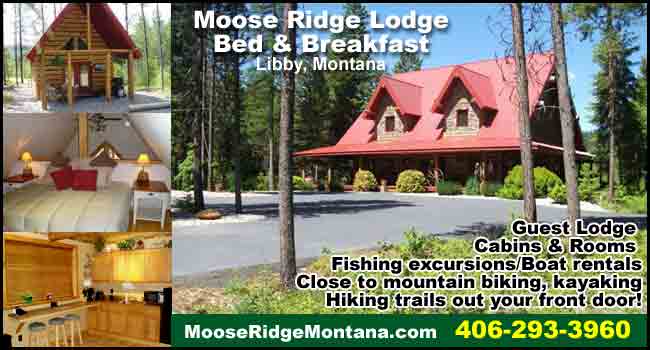 Moose Ridge Lodge Bed & Breakfast