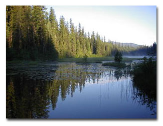 Loon Lake