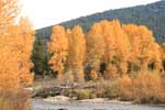 Fall in Libby