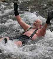 Polar Bear plunges