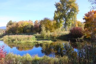 Mill Pond in October