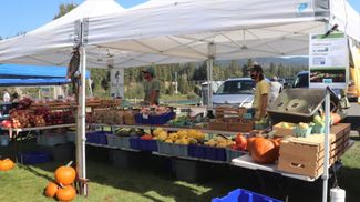 Kootenai Harvest Festival/Hoot Owl Farm