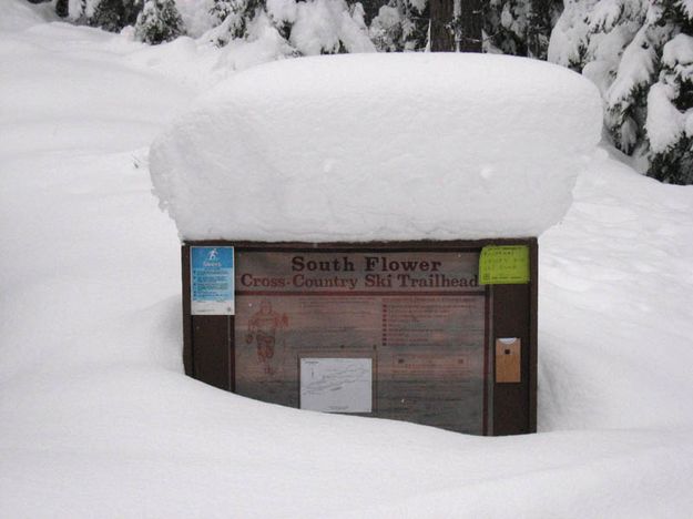 Flower Creek Snow. Photo by Susie Rice.