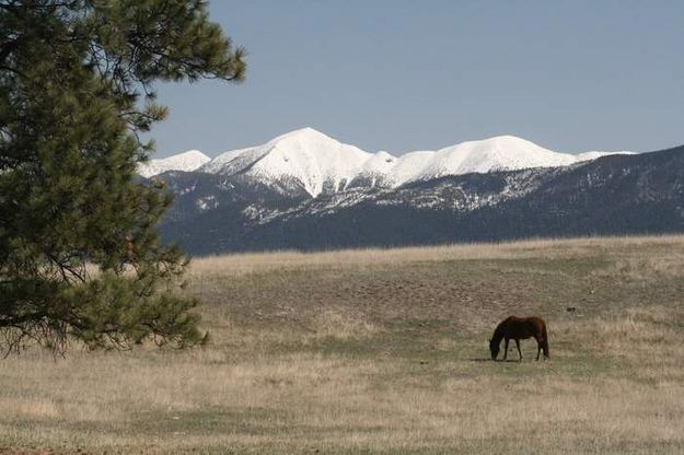 Beautiful Eureka, Montana. Photo by LibbyMT.com.