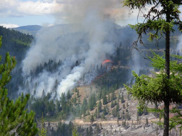 Parmenter Fire Sunday. Photo by Bob Hosea.