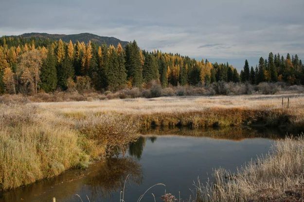 Bull River. Photo by Maggie Craig, LibbyMT.com.