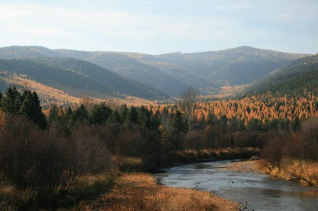 Fisher River. Photo by Maggie Craig, LibbyMT.com.