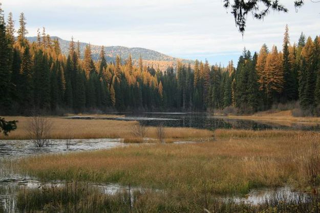 Loon Lake. Photo by Maggie Craig, LibbyMT.com.