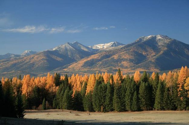 Beautiful Fall Colors. Photo by Maggie Craig, LibbyMT.com.