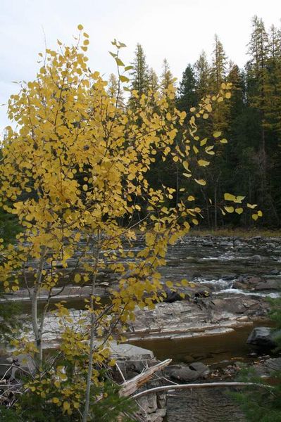 Yaak Falls. Photo by Maggie Craig, LibbyMT.com.