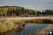 Bull River. Photo by Maggie Craig, LibbyMT.com.