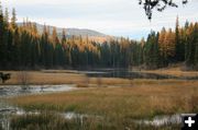 Loon Lake. Photo by Maggie Craig, LibbyMT.com.