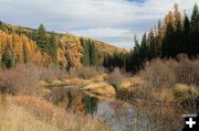 Yaak River. Photo by Maggie Craig, LibbyMT.com.