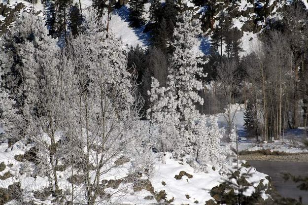 Kootenai River. Photo by LibbyMT.com.