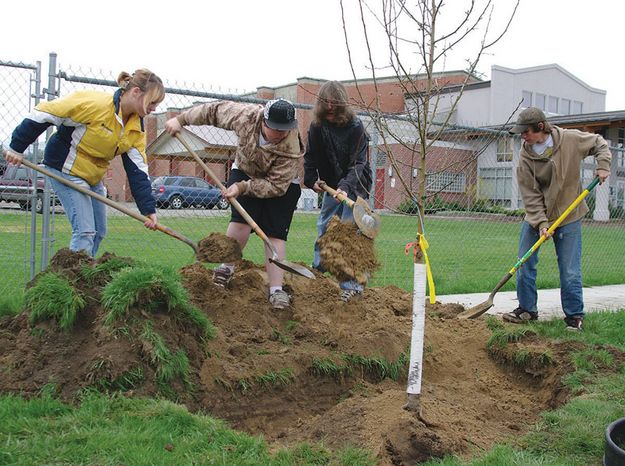 Arbor Day in Libby. Photo by Kootenai Valley Record.