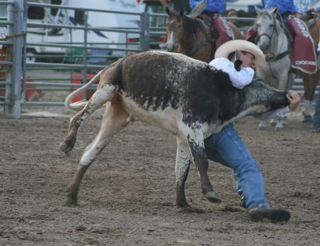 Steer wrestling. Photo by LibbyMT.com.