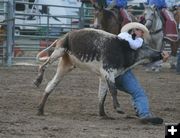 Steer wrestling. Photo by LibbyMT.com.