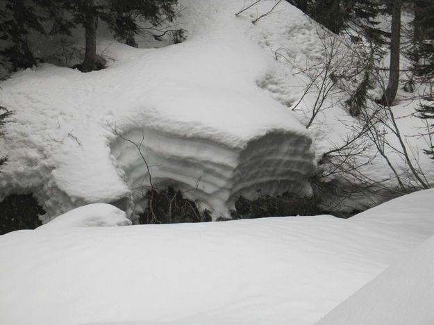 Snow. Photo by Bob Hosea.