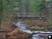 Footbridge. Photo by Bob Hosea.