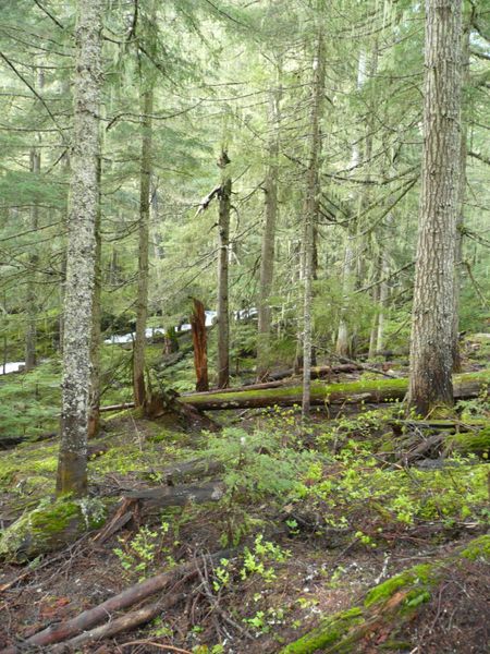 Along the trail. Photo by Bob Hosea.