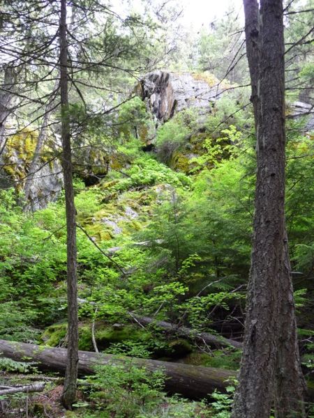 Trail scenery. Photo by Bob Hosea.