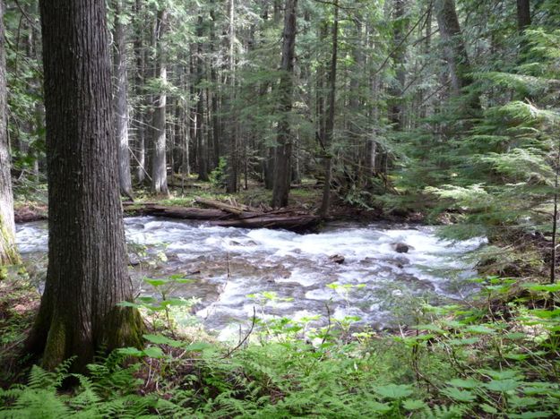 Granite Creek. Photo by Bob Hosea.