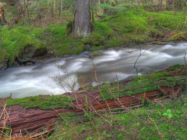 Cedar Creek. Photo by Bob Hosea.