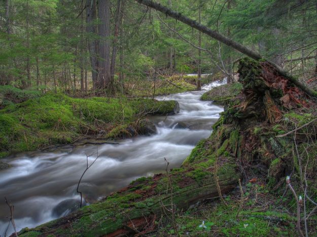 Cedar Creek. Photo by Bob Hosea.