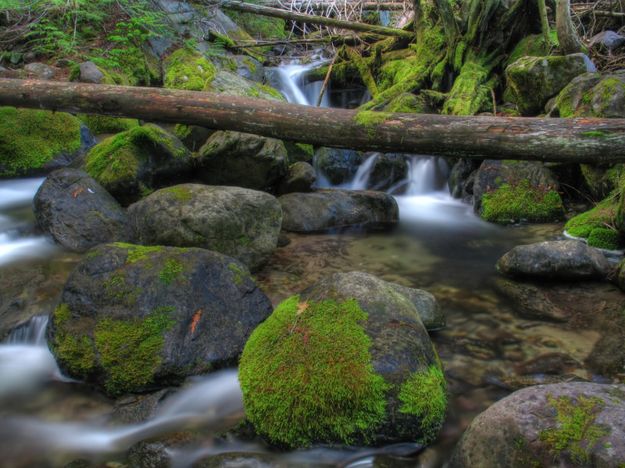 Cedar Creek. Photo by Bob Hosea.