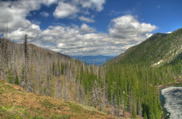 Cedar Creek drainage. Photo by Bob Hosea.