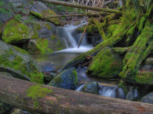 Cedar Creek. Photo by Bob Hosea.