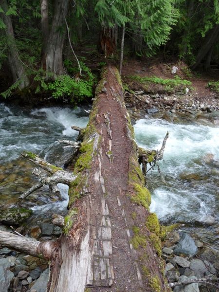 Crossing 1st Log Bridge. Photo by Bob Hosea.