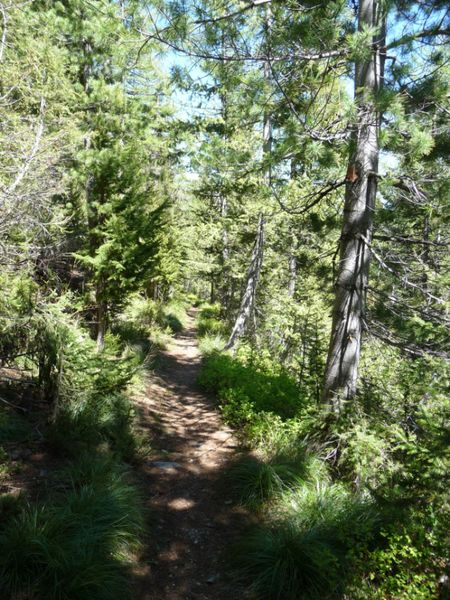 On the Bramlet Creek Trail. Photo by Bob Hosea.