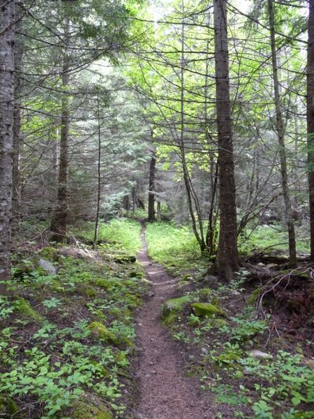 Good trail. Photo by Bob Hosea.