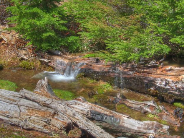 Small Creek. Photo by Bob Hosea.