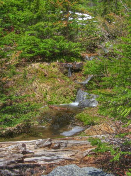 Little creek falls. Photo by Bob Hosea.