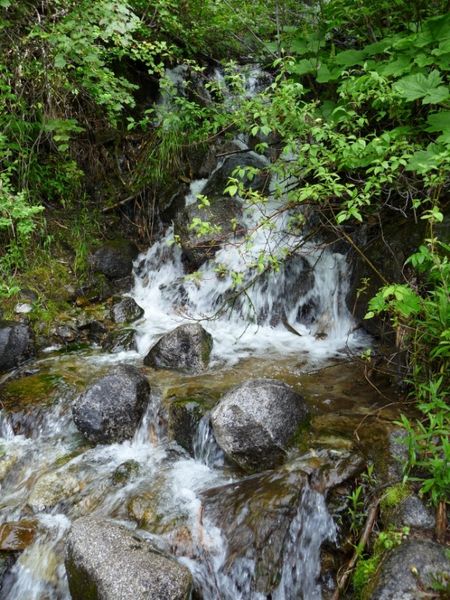 Small stream. Photo by Bob Hosea.