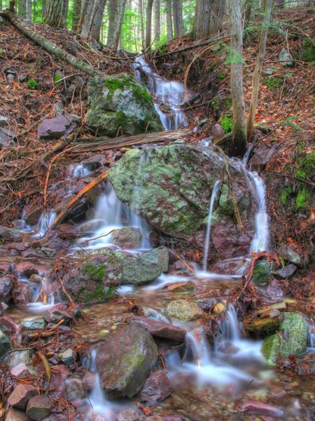 Small stream. Photo by Bob Hosea.