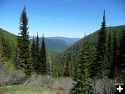 Bramlet Creek drainage. Photo by Bob Hosea.