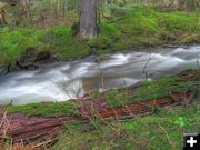 Cedar Creek. Photo by Bob Hosea.