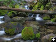 Cedar Creek. Photo by Bob Hosea.