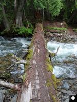 Crossing 1st Log Bridge. Photo by Bob Hosea.