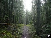 On the trail. Photo by Bob Hosea.