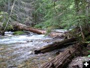 2nd log bridge. Photo by Bob Hosea.